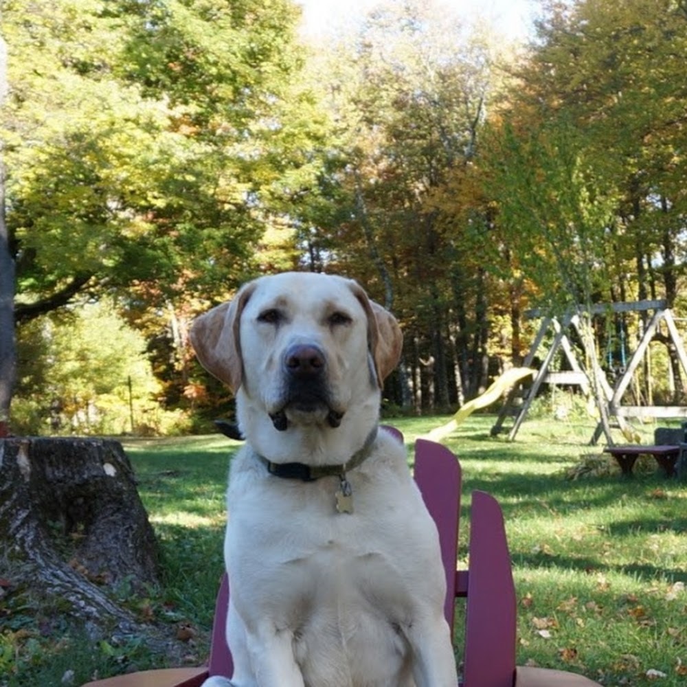 Meet your Posher, Ethan